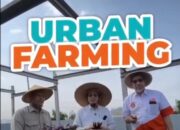 Suswono Dorong Pemanfaatan Lahan Terlantar Melalui Urban Farming di Jakarta